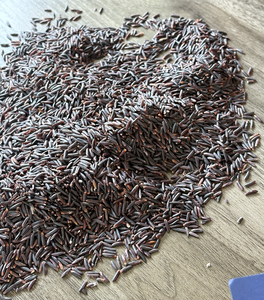 Riz biologique noir de qualité supérieure pour le marché international | Riz à haute nutrition et goût authentique | Approvisionnement en vrac et expédition rapide (Joice) - Product Image 3