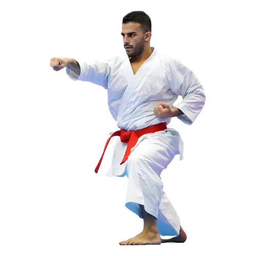 100% pamuk jiu jitsu gi Karate formaları Kick boks MMA takım elbise özel renk Unisex OEM eğitim Logo Jodo elbise spor giyer set