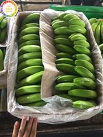 Hoogwaardige verse bananen export voor groothandels in Oman vanuit Vietnam, beste prijs voor groothandel, klaar voor export door 99 Gold Data