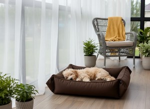 Amistar Model 307 Small Rectangular Transforming <b>Dog</b> & Cat <b>Bed</b> with Heating and Adjustable Features (Oxford Fabric) - Product Image 4