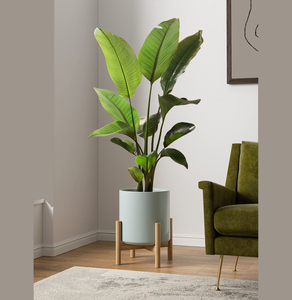 Jardinière en métal attrayante support de plante en métal élégant pour une utilisation intérieure et extérieure support de jardinière moderne ajoute de l'intérêt à votre décor de jardin - Product Image 1