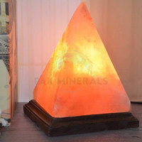 Lampes en sel naturel de l'Himalaya polies de haute qualité avec une couleur foncée pour la décoration de la maison