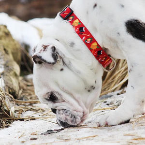 Collar de poliéster con estampado de transferencia térmica para perro, accesorio de la mejor calidad - Product Image 6