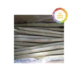 Palitos de caña de azúcar congelados IQF de sabor fresco convenientes listos para usar para jugo de bebidas distribución al por mayor - Product Image 2