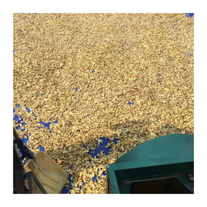 Gingembre Offre Spéciale déshydraté du Vietnam-Tranches de gingembre séché de haute qualité pour la nourriture et les boissons-Grand gingembre séché par 99G - Product Image 1