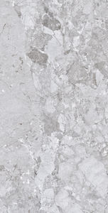 Evergreen Modèle Surface spéciale carreaux de sol émaillés en porcelaine pour usage commercial. - Product Image 3