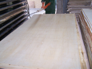 Industrial vietnamita E2 para contrachapado certificado CARB para construcción y embalaje - Product Image 4