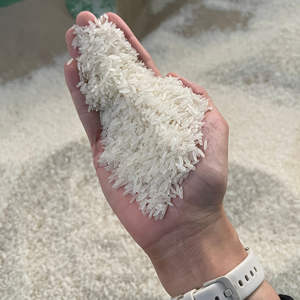 Riz Jasmin en Gros Riz Azzoz Riz Parfumé 5% Brisures Récolte Actuelle Vente Chaude - Product Image 6