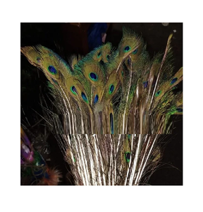 Plumas de Pavo Real Naturales en Racimo para Manualidades Creativas, Decoración de Disfraces, Adornos para Bodas - Product Image 1