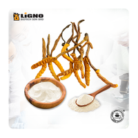 LiGNO OCS02 Ophiocordyceps Sinensis Poeder Functioneel drankingrediënt OEM ODM Natuurlijk Biologisch Halal/Kosher Gecertificeerd Gezondheidsproduct