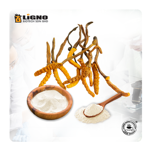 Malaysia LiGNO OCS02® Ophiocordyceps Sinensis Premium Health Supplement Energy Immunity OEM ODM Ready Functional Powder - Product Image 1