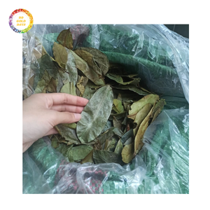 ใบทุเรียนเทศแห้งธรรมชาติ-คุณภาพราคาไม่แพงและเชื่อถือได้ - Product Image 6