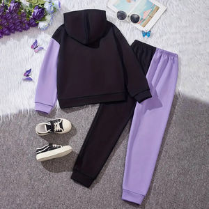 ชุดเสื้อผ้าเด็กผู้หญิงชุดวอร์มสองชิ้นสำหรับเด็กวัยหัดเดินชุดวอร์มสำหรับผู้หญิงชุดวิ่งแบบมีฮู้ดชุดวอร์มสำหรับเด็ก - Product Image 2