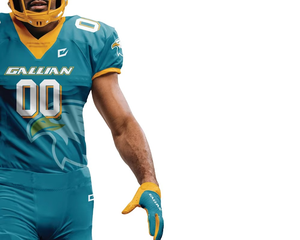 Ensemble de tenues de football américain personnalisées, fournisseur en gros de maillots et pantalons d'équipe - Product Image 2