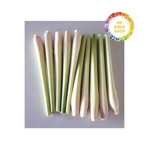 Citronnelle vietnamienne surgelée, soigneusement tranchée, avec un arôme naturel frais, emballée IQF et adaptée à l'expédition en vrac - Product Image 6