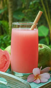 Oferta especial de Kim Minh International, jugo de puré de guayaba sin azúcar, Procesamiento Natural, envasado a granel, jugo de frutas y verduras - Product Image 6