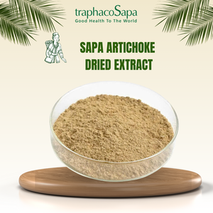 Extrait sec de feuille d'artichaut en vrac en gros (0,7 - 0,8% acide chlorogénique) poudre brune du Vietnam - Product Image 6