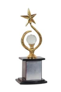 Trofeo de Cricket de Metal de Lujo, Copa de Campeonato, Premio Deportivo, Obsequio - Product Image 3