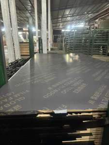 Film Faced Plywood for Concrete Formwork & Construction Use - Product Image 6
