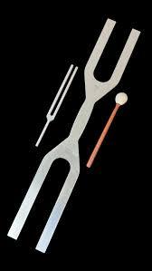 Diapasón de Doble Frecuencia |   (432 Hz y 288 Hz) |   Con martillo - Product Image 3