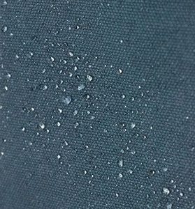 Pugmark elegante Unisex impermeable lona portátil mochila poliéster antirrobo diseño de moda para hombres mujeres estudiantes profesionales - Product Image 6