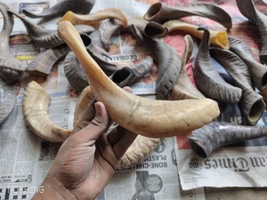 Gâteries bon marché en gros de nourriture pour animaux de compagnie de chien de corne de mouton avec la livraison rapide de style animal religieux de FSInternational - Product Image 4