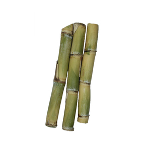 Caña de Azúcar Belga Premium de Alta Calidad, Grado Superior, 2 Años de Vida Útil, para Marca Personalizada, Exportación al por Mayor, Agrícola Global - Product Image 2
