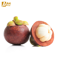 Biologische Thaise Mangosteen, vers fruit, zoet en sappig, de koningin der vruchten met tropische smaak, verpakt in bulk, kwaliteit A, merk Khey Taladthai