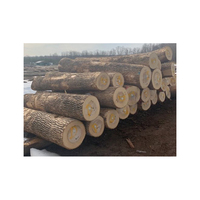 Fournisseur direct de bois de chêne de qualité supérieure en gros, bois de mangue, bois de chauffage de qualité A, origine Brésil, prix compétitif