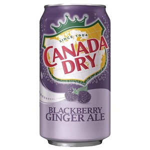 Canadá Dry Ginger Ale Blackberry 355ml latas Paquete de 12 Bebidas al por mayor Refrescos OEM Grado de exportación Listo para pedidos a granel - Product Image 4