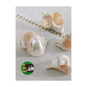 Anneaux de serviette en coquillages de style côtier pour la décoration de table de mariage sur la plage, produit artisanal naturel du Vietnam, vente en gros - Product Image 1