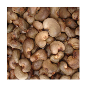 เม็ดมะม่วงหิมพานต์ดิบเกรดพรีเมียม AA แบบมีเปลือก รสชาติธรรมชาติ (อบแห้ง) - Product Image 1