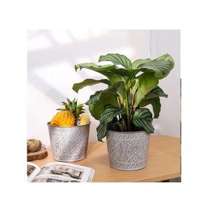Decorative Garden <b>Herb</b> Conical <b>Pots</b> Metal Flower <b>Pot</b> With Golden Handles Home Decoration Metal Galvanized Planter - Product Image 5