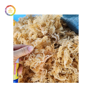 Premium Quality Irish Sea <b>Moss</b> Seasoned <b>Dried</b> Laver Affordably Priced for Bulk Orders and Export Bag Packaging Included - Product Image 6