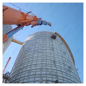 Silo in Acciaio Saldato per Carichi Pesanti SRON 1000-100.000T, Impianti Energetici Progettati su Misura, Terminali per Cemento, Stoccaggio Industriale di Massa, <span class=keywords><strong>1</strong></span> Anno - Product Image 2