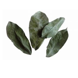 100% Pure Organic-Libre de pesticidas-Hojas secas de Guanábana seca - Product Image 1