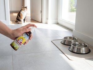 Eliminador de Olores Natural a Base de Bacterias, Spray para el Cuidado de Mascotas, Refrigeradores, Zapatos y Contenedores de Basura - Product Image 4
