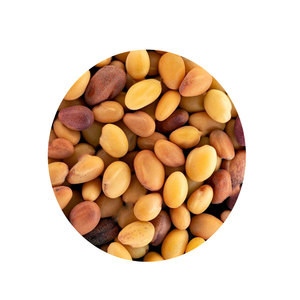 Berseก็ Clover | ปริมาณโปรตีนสูงสำหรับฟาร์มนม - Product Image 1