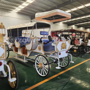 Prix réduits Voiture royale électrique Buggy Smartness Remorquage Calèche sans cheval Camionnette touristique en vente - Product Image 2