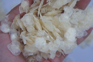 Venta al por mayor de escamas de pescado seco de Vietnam, material natural para el procesamiento de colágeno, oferta de precio barato - Product Image 6