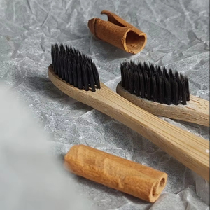 2025 Tendance Eco Bambou Brosse À Dents Biodégradable Compostable avec Poils De Charbon Zéro Déchet Voyage Friendly 2025 Meilleur Vendeur - Product Image 1