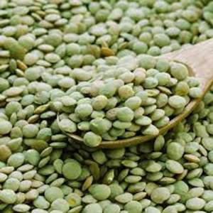 Organic Green <b>Lentils</b> For Sale - Product Image 3