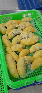 Pulpa de Durian congelada, ingrediente de fruta tropical cremosa de Vietnam para barras de batidos, fábricas de alimentos y mercado de postres congelados al por menor - Product Image 6