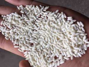 ARROZ GLUTINO PARA EXPORTAR POR TODO EL MUNDO _ ARROZ PEGATINADO DE GRANO LARGO PREMIUM PARA LA FÁBRICA_TOP ELECCIÓN DE SUPERMERCADO VIETNAMÉS - Product Image 3