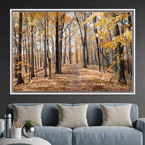 Art mural en verre trempé Autumn Forest : élégante œuvre d'art imprimée sur toile, toile encadrée blanche - Product Image 1