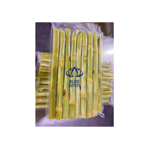 PRODUIT SUPÉRIEUR 2025 BÂTONS DE CANNE À SUCRE CONGELÉE DU VIETNAM GOÛT DOUX pour JUS PÔLE DE CANNE À SUCRE CONGELÉE DE HAUTE QUALITÉ - Product Image 1