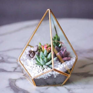 Terrario geométrico de cristal transparente con forma de diamante, borde de latón, acabado dorado, decoraciones de boda para el hogar, jardineras elegantes para joyería - Product Image 6