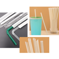 Pailles jetables et biodégradables en PLA noir, vert et coloré de 210 mm pour les restaurants et les bars