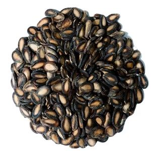 Graines de melon hybride jaune à bas prix - Product Image 2