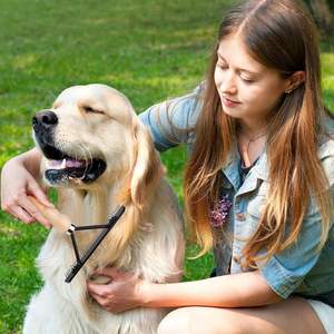 หวีแปรงขนสัตว์เลี้ยงสีดำเป็นมิตรต่อสิ่งแวดล้อมพร้อมด้ามจับไม้ชายหาดแปรงหวีสำหรับสุนัขทำจากสแตนเลส - Product Image 5